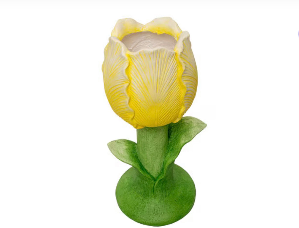 Round Top Yellow Single Tulip Planter with Leaves