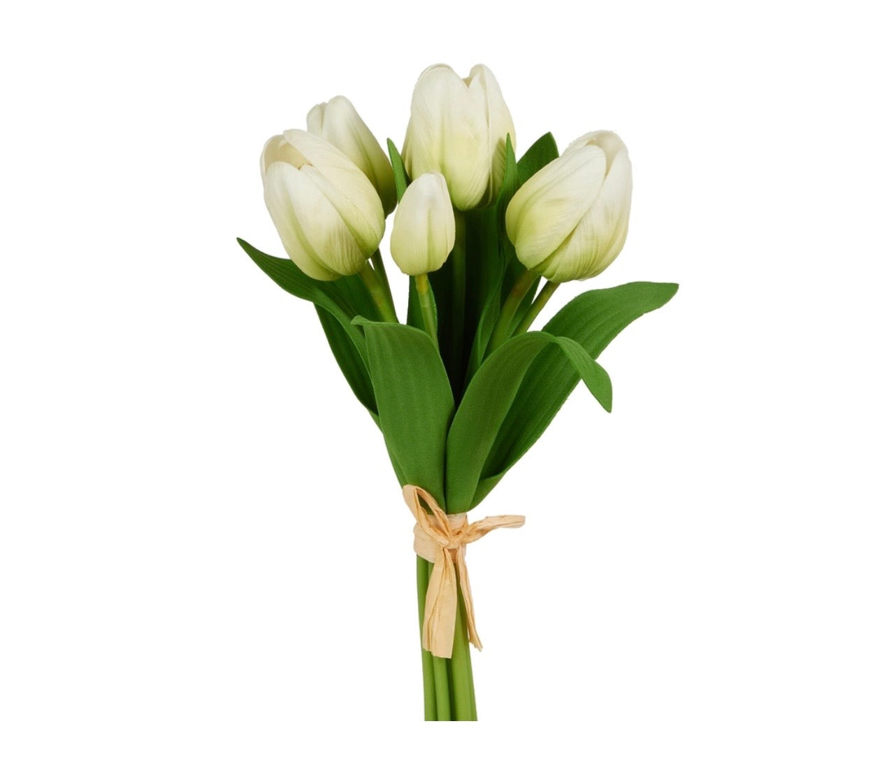 RAZ 12” White Tulip Bundle