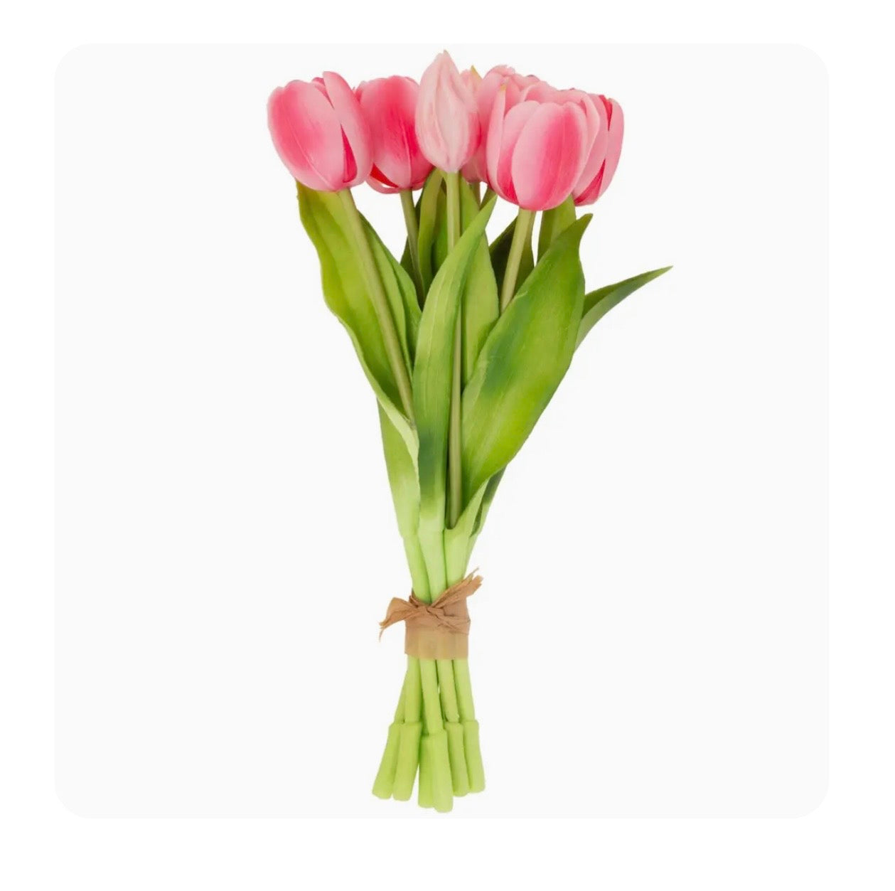 Fresh Picked Pink Tulip Bundle Set of 8