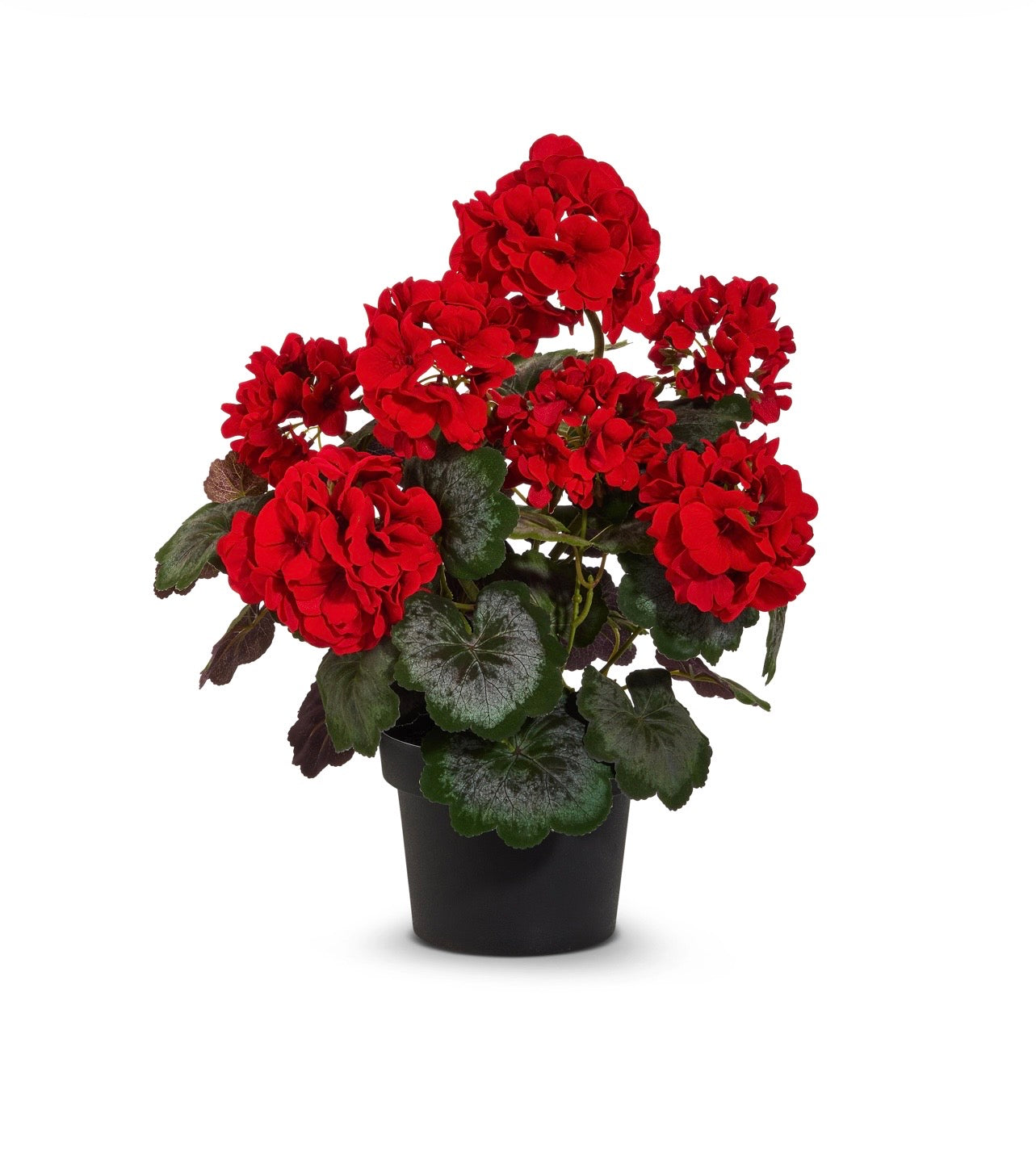 Raz Potted Red Geranium