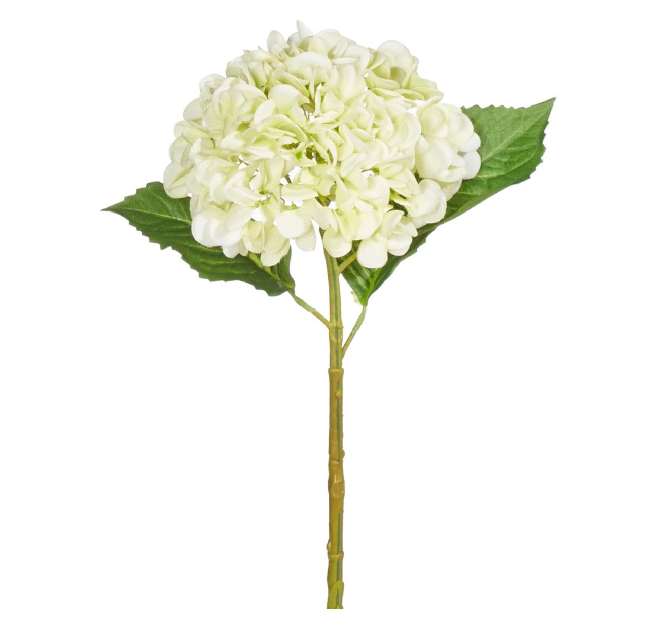 RAZ 19” Real Touch Light Green Hydrangea Stem