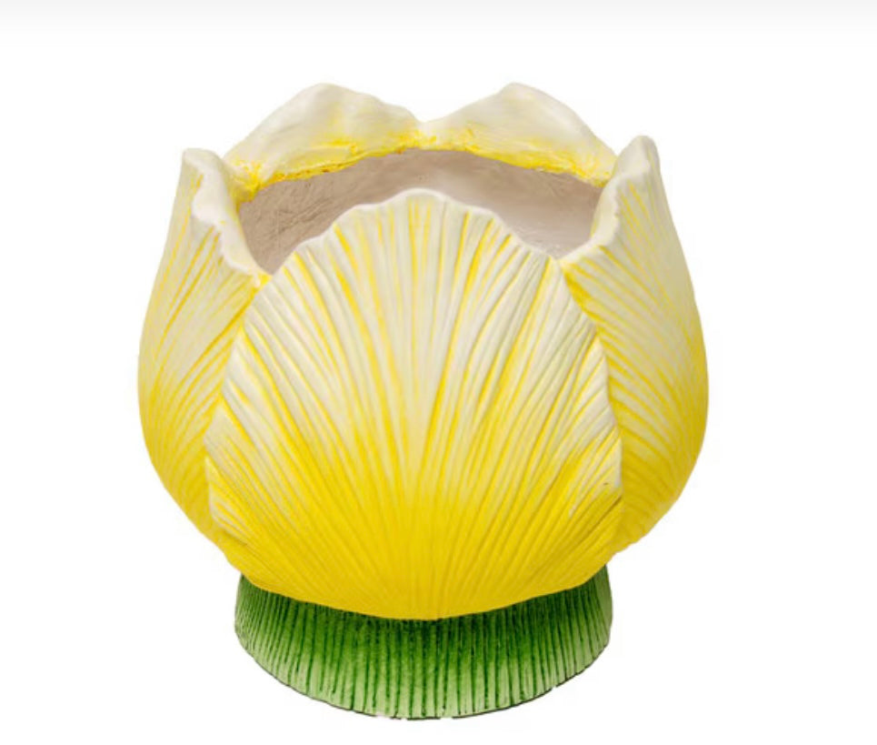Round Top Yellow Single Tulip Planter