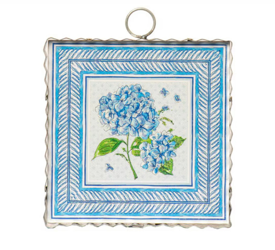 Round Top Blue Hydrangea