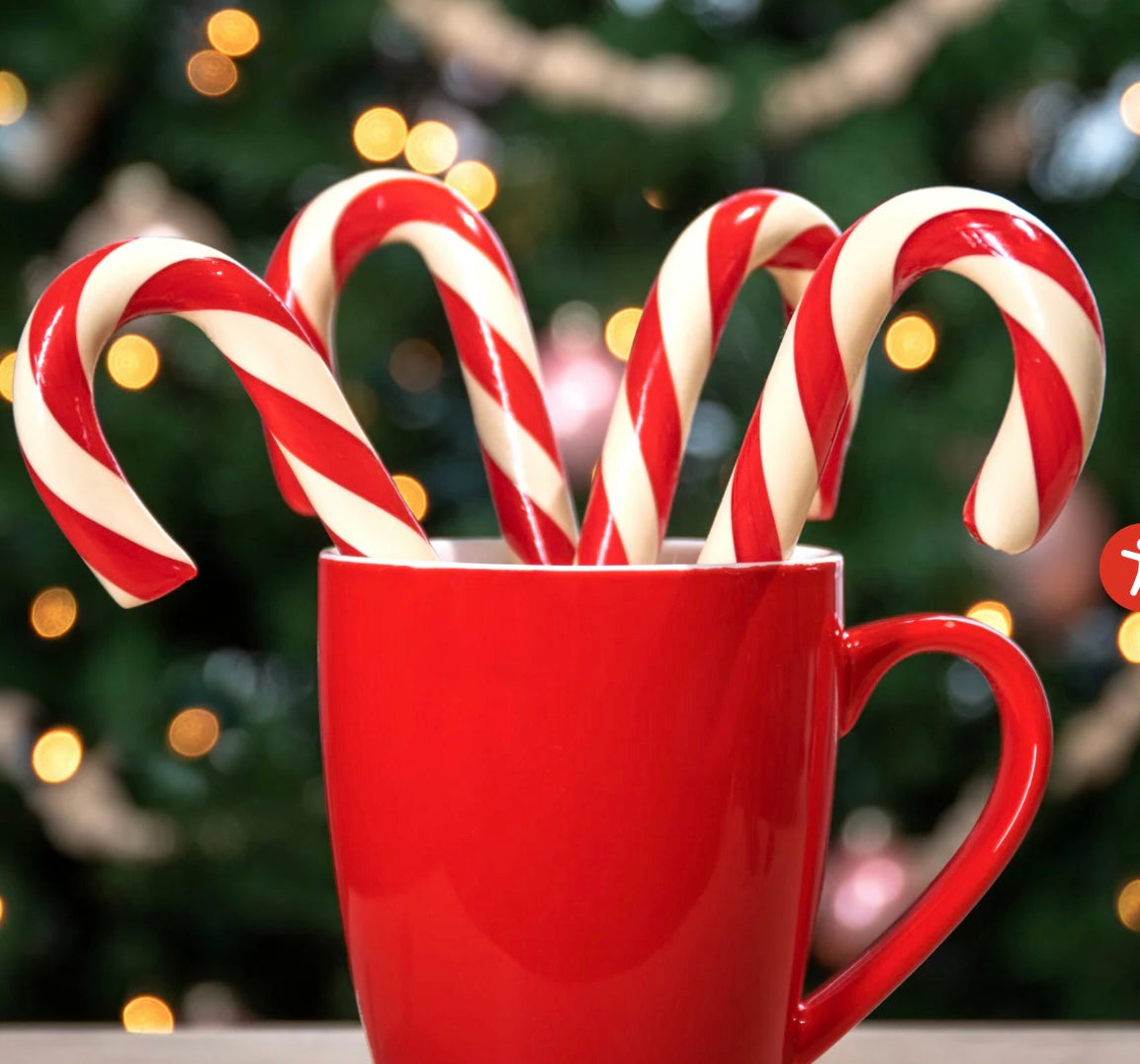 Hammond’s Cane Peppermint