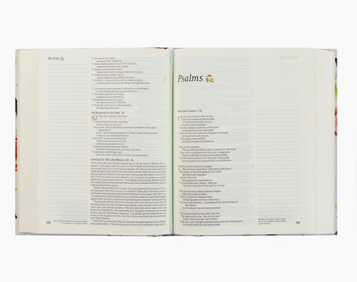NLT Notetaking Bible: Loveland Theme